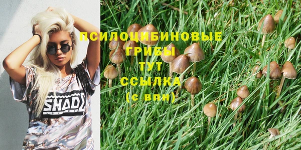 дживик Белоозёрский