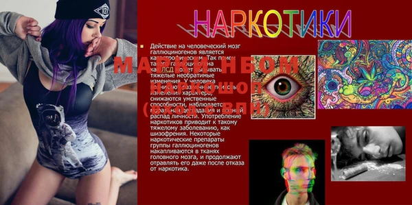 дживик Белоозёрский