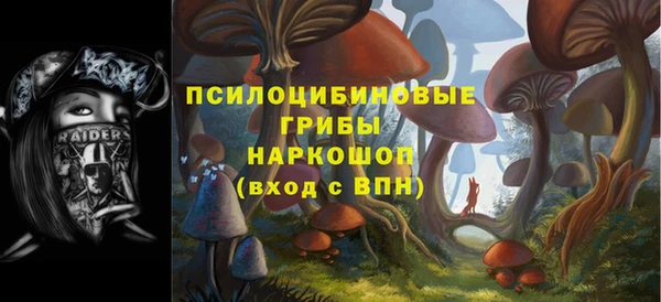 прущая мука Белокуриха